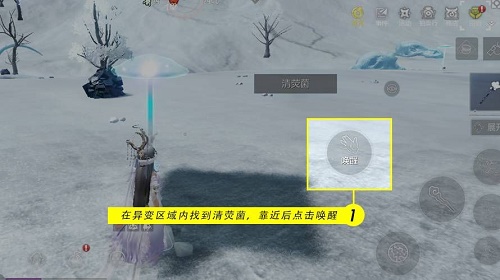 妄想山海清荧菌在哪 妄想山海清荧菌位置攻略